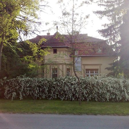 Villa Ricz Палич Экстерьер фото