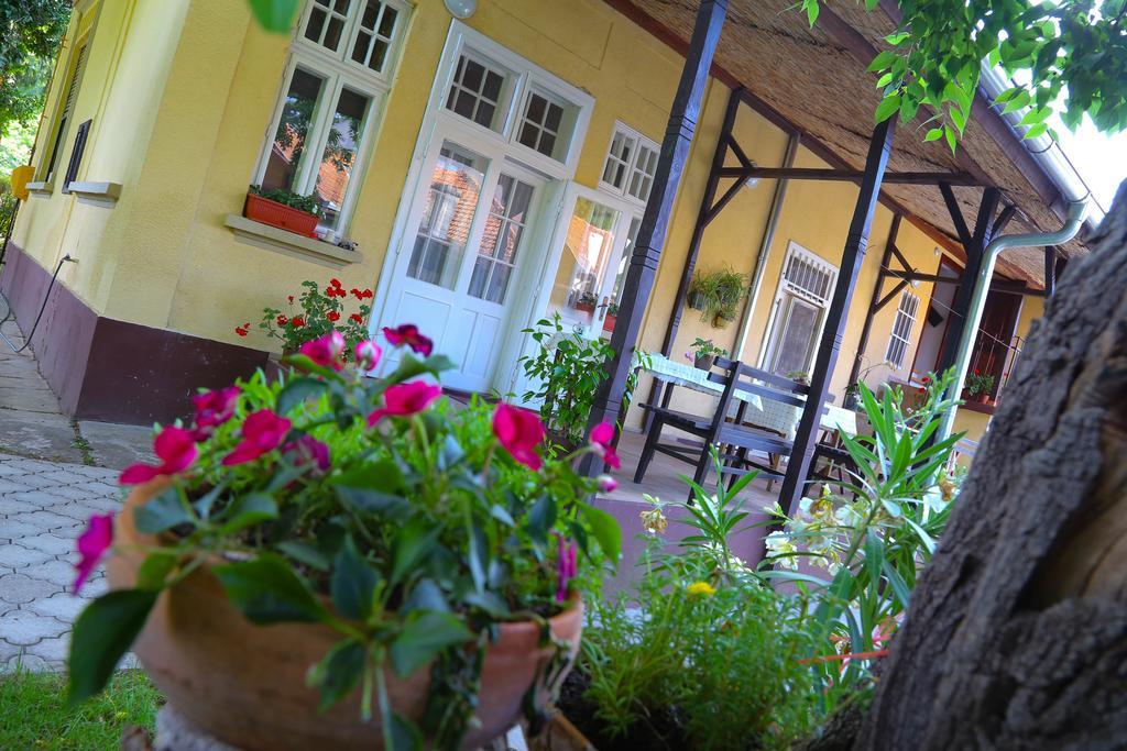 Villa Ricz Палич Экстерьер фото