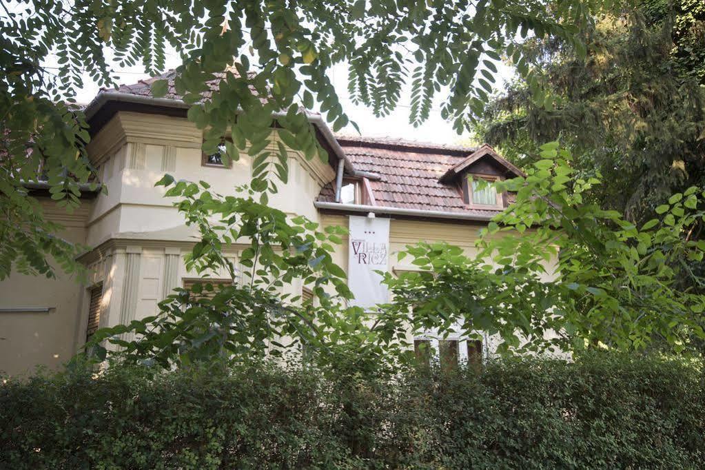 Villa Ricz Палич Экстерьер фото