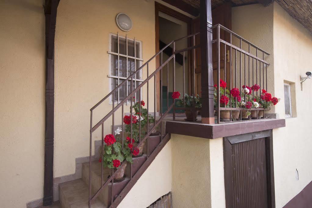 Villa Ricz Палич Экстерьер фото